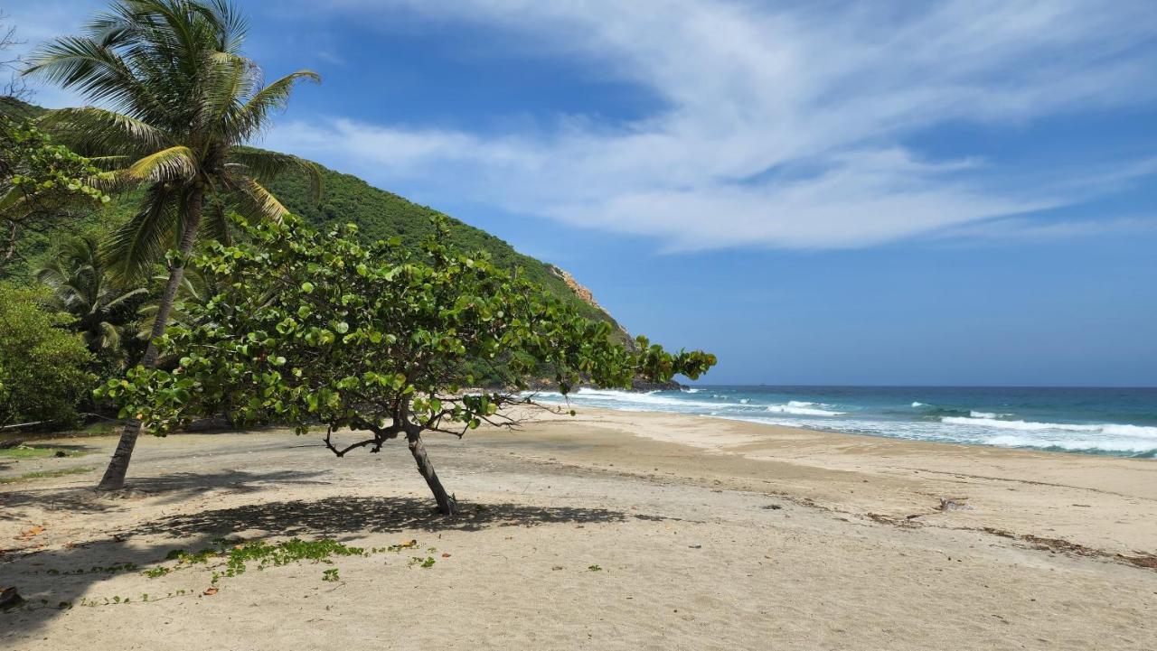 Ecolodge Playa Brava Teyumakke Calabazo  ภายนอก รูปภาพ